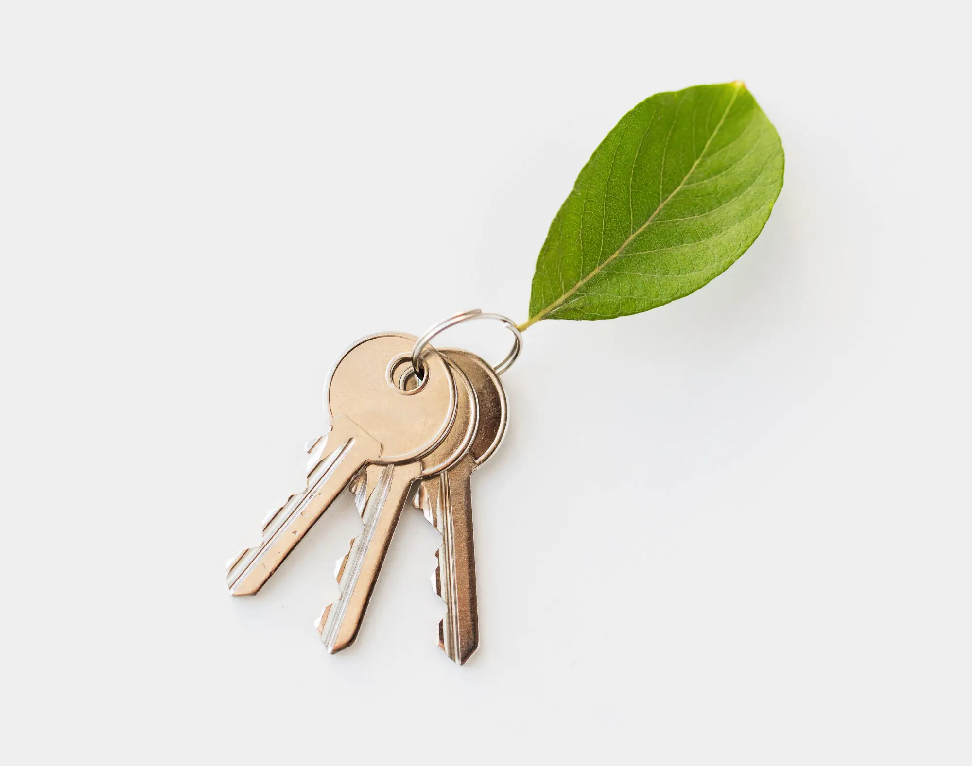 Investing in REITs: Exploring the Benefits of Real Estate Investment Trusts